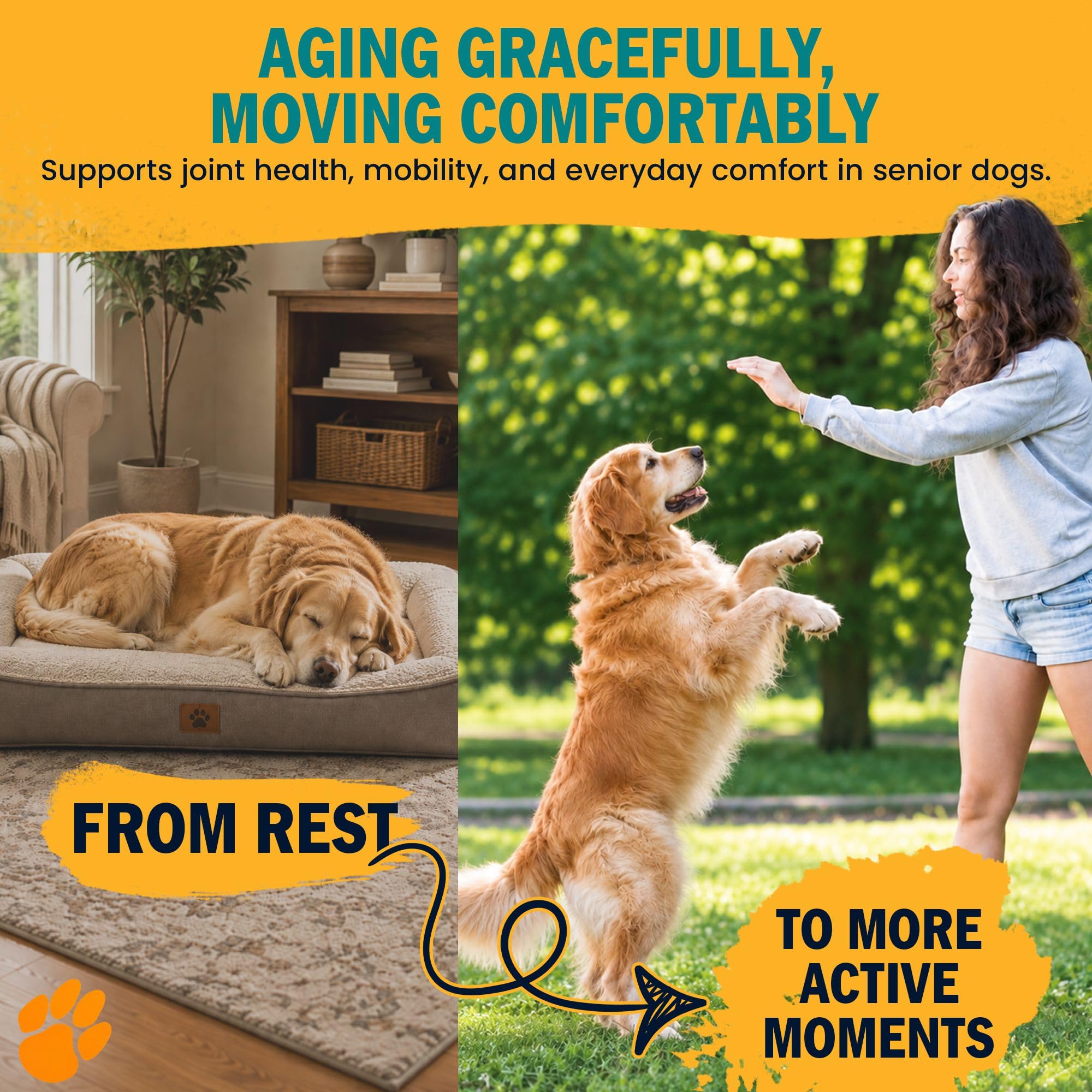 Amazon | 1-TDC Dual Action Periodontal & Joint Support for Dogs